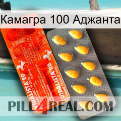 Камагра 100 Аджанта new01